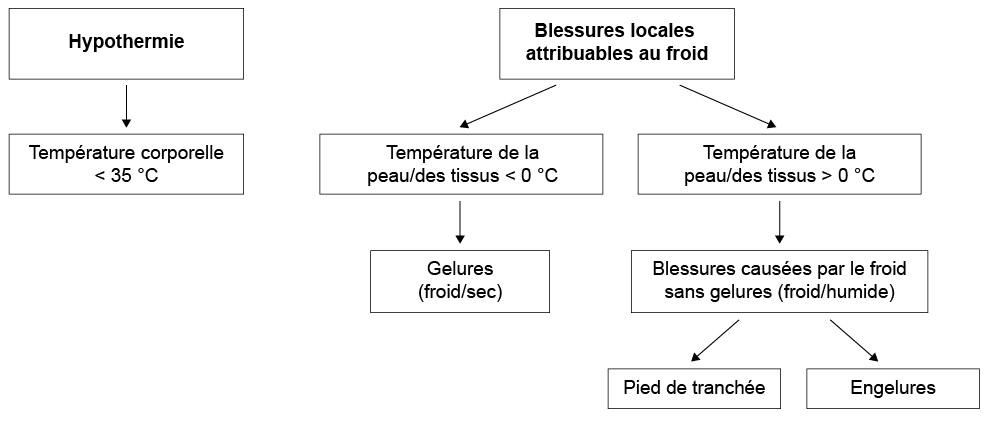 Figure 1 : Types de lésions attribuables au froid